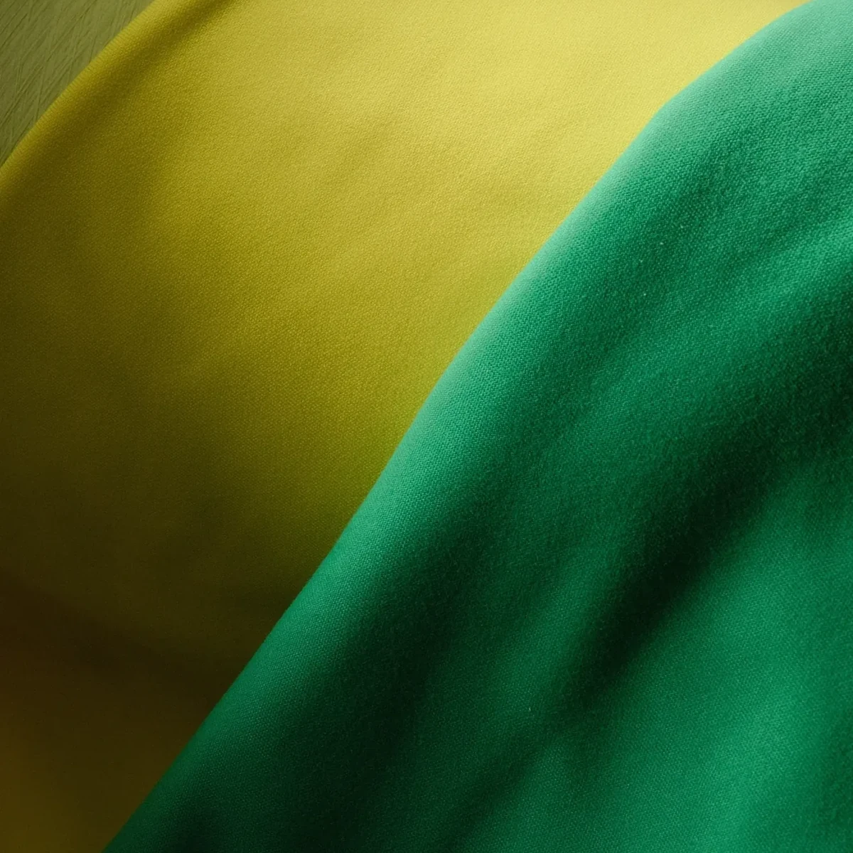P61004-1